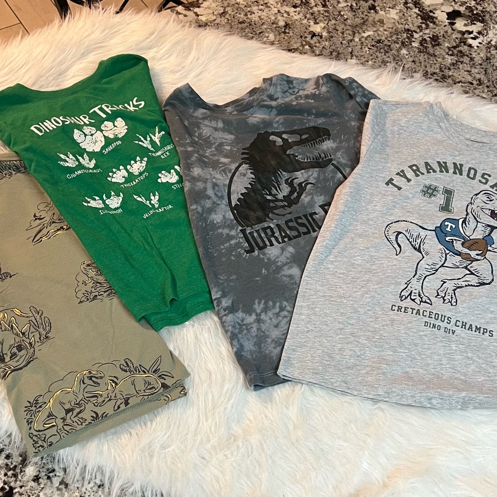 Dinosaur-Themed Kids Short Sleeve Tees Set